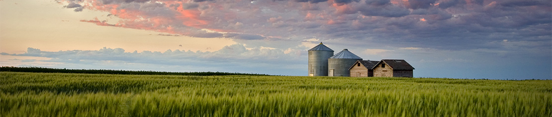 Barn and silos surrounded by a green field with purple clouds.